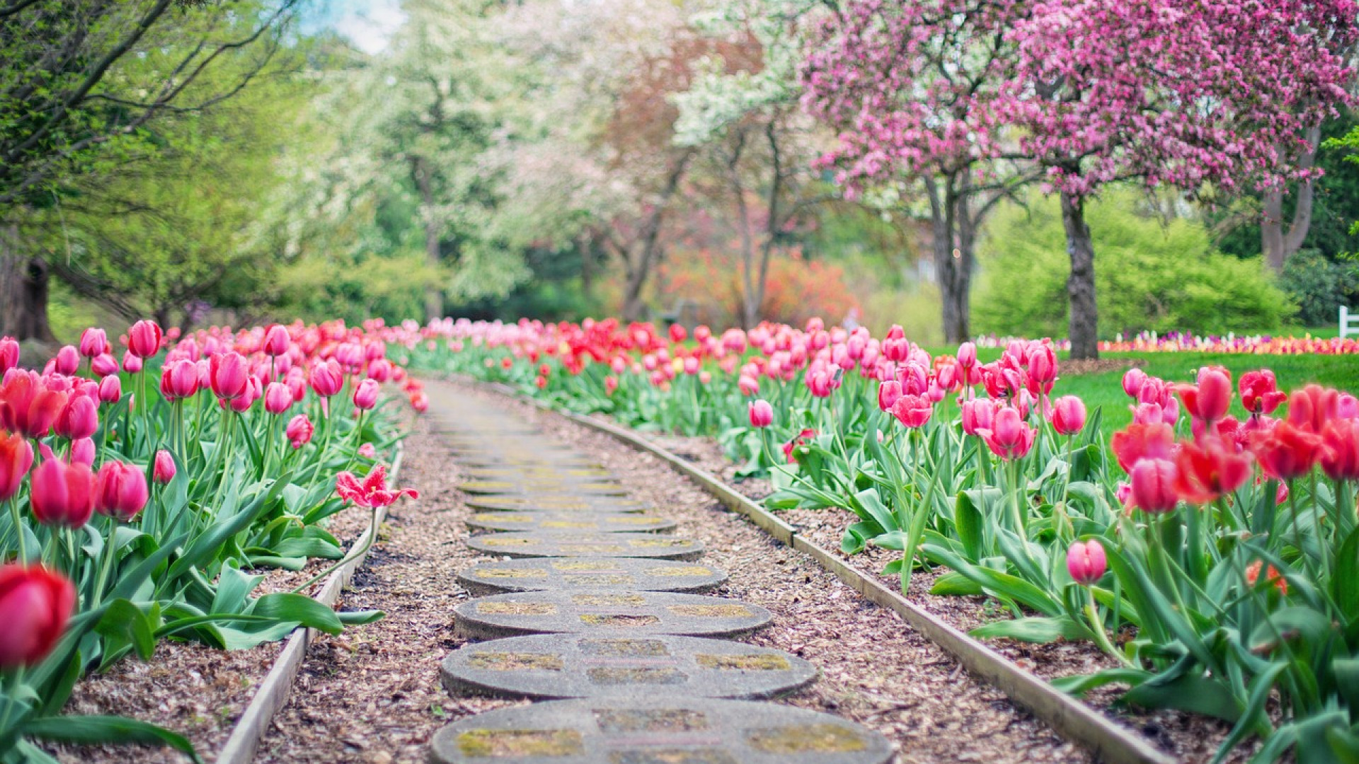 Aménagez avec style : comment décorer les allées de votre jardin ?